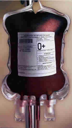 Gays discriminados na doa��o de sangue