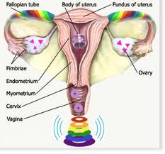 �teros de l�sbicas 